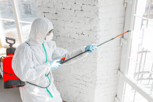 Reliable Lansing, MI Mold Inspection Solutions